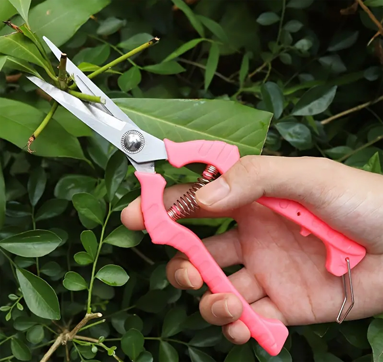 Garden shears for pruning plants